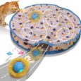 Interactive-Cat-Toys-Ball-Fast-Rolling-in-Pouch-Motion-Activate.jpg