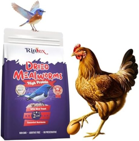 Dried Mealworms 2 lbs - Chicken Protein Source - Winter Bird Seed for Outside Feeders - Wild Duck Food - Hamster Mealworms - Dried Mealworms for Birds, Dried mealworms for Turtles, Chicken Layer Feed