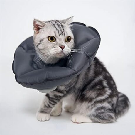 MayMaw Inflatable Cat Cone, Foldable Cat Cone Collar Soft After Surgery for Kittens Lightweight Elizabethan Collar for Cat Prevent from Licking Wounds (Grey- Medium)