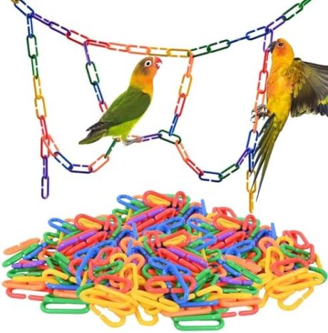Sukh 250pcs Plastic C Clips Hooks Chain Links - Interchangeable Rainbow C-Links for Pet Parrot Parakeets Rat Sugar Glider Small Bird Cage Toys, Children Learning Supplies.