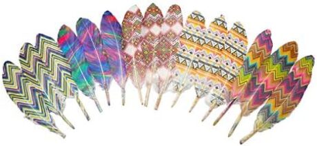 50Pcs 5 Style Natural Goose Feathers Clothing Accessories Pack of Mixed Indian Feathers,Easter Decor,Christmas, Clothing,and Baby Shower Decorations (Indians Style)