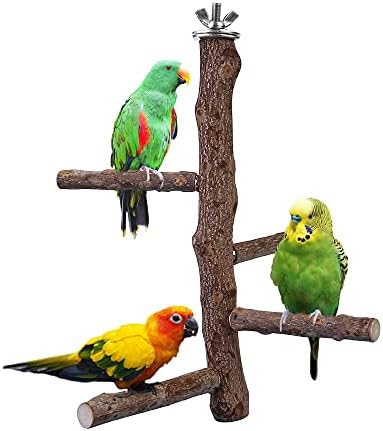 Bird Perch Stand Toy, Natural Wood Parrot Perch Bird Cage Branch Perch Accessories for Parakeets Cockatiels Conures Macaws Finches Love Birds (M: 10" Length)