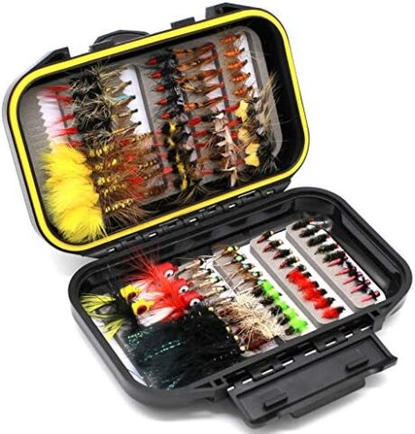 Fly Fishing Flies Assortment Kit Dry Wet Nyphms Tenkara Popper Streamer Woolly Bugger for Trout Bass Salmon Steelhead with Fly Box