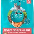 Purina-ONE-Natural-Dry-Cat-Food-Tender-Selects-Blend-With.jpg