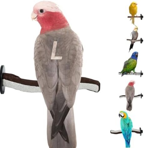 Superoost Manzanita Pumice Pedicure Perch- Easy to Install Bird Cage Accessories for Healthy Feet, Nails and Beak - Natural Bird Perches Imitates Birds' Life in The Wild - L 12"