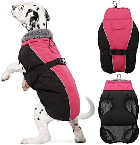 DENTRUN Warm Winter Coat Cold Weather Jacket Windproof Fleece Vest Reflective Outwear Waterproof Snowsuit Cozy Turtleneck Apparel for Small Dogs, S