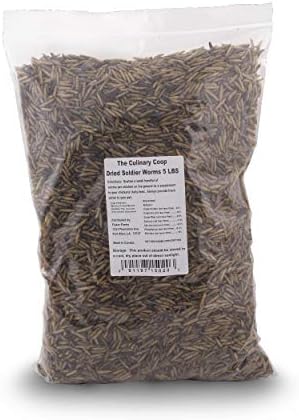 Fluker's Culinary Coop Premium Chicken Treats, Dried Soldier Worms, Packed with Protein and Calcium, 100% Natural Rich Grubs for Chicken, Backyard Birds, and Reptiles, 5lbs.