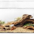 AZV-Reptile-Terrarium-TankVersatile-Enclosure-for-Leopard-Crested-GeckoLizard-CageSpider.jpg