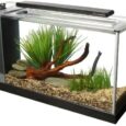 Fluval-SPEC-Aquarium-Kit-Aquarium-with-LED-Lighting-and-3-Stage.jpg